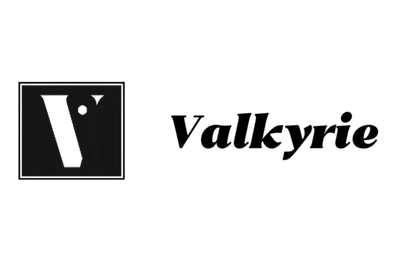 Valkyrie fund